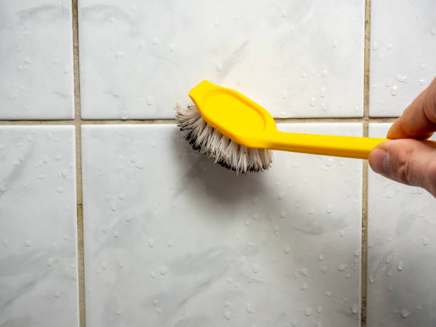 Best Affordable Mold Removal  in Marysville, CA