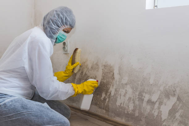 Best Commercial Mold Removal  in Marysville, CA
