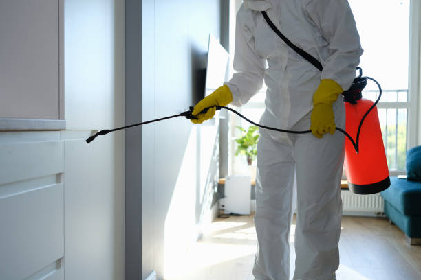 Best Best Mold Removal Companies  in Marysville, CA