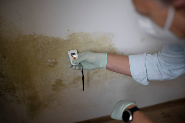 Best Residential Mold Removal  in Marysville, CA