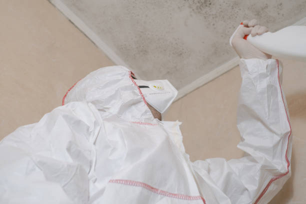 Best Residential Mold Removal  in Marysville, CA