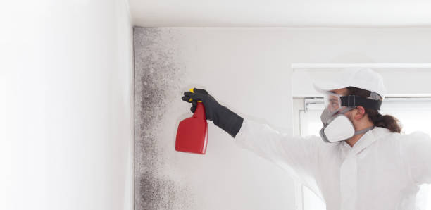 Best Mold Removal Near Me  in Marysville, CA