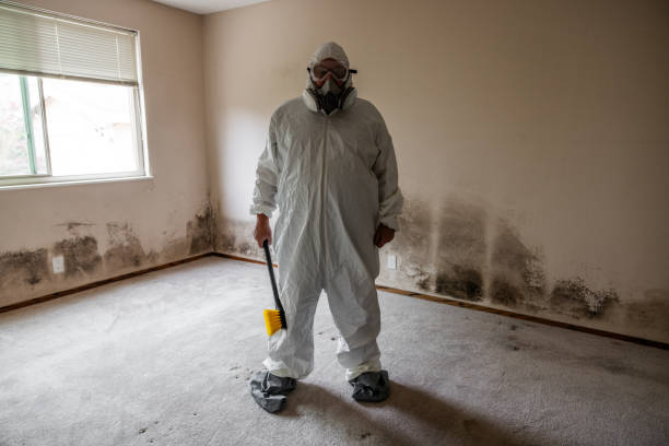 Best Black Mold Removal  in Marysville, CA