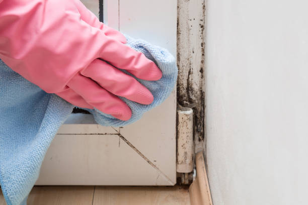 Best Mold Testing  in Marysville, CA